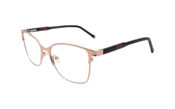 Оправы Ageless W6038 C7