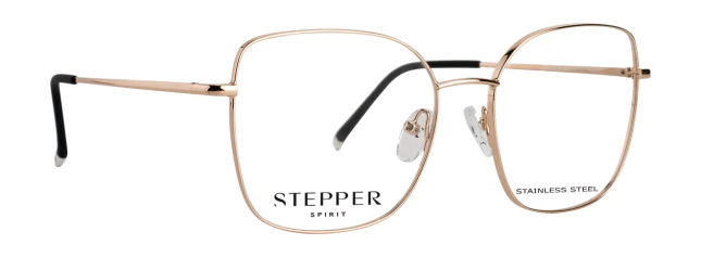 StepperS STS-40245 F030109539