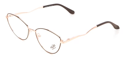 Оправы Agio AG 70216 c1