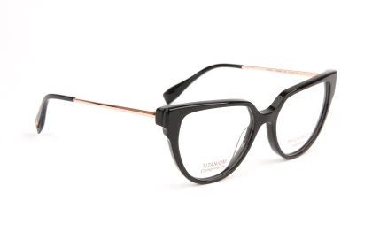 Оправы Ana Hickmann HI6290T A01 Titanium