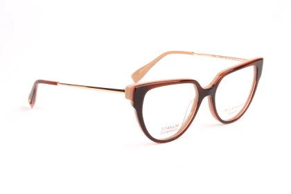 Оправы Ana Hickmann HI6290T G21 Titanium