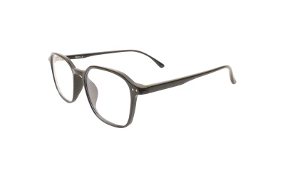 Оправы Оправа Ageless 510795 WL01