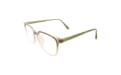 Оправы Ageless 510809 WL04