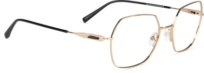 Оправы Dilem 3JLJ01