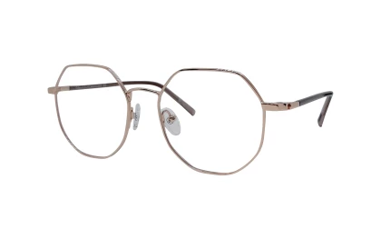 Оправы Elfspirit EF-4383 c001