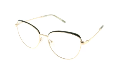 Оправы Einars I2I  L5320D-53