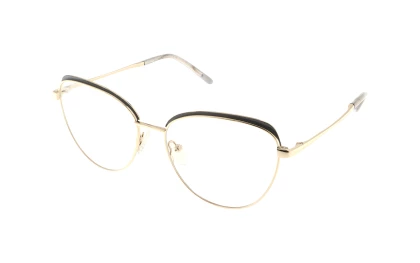 Оправы Einars I2I  L5320E-53