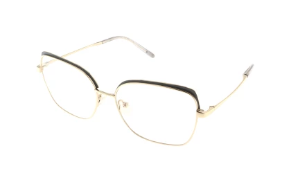 Оправы Einars I2I  L5324E-55