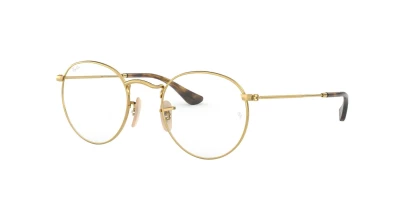 Оправы Оправа Ray Ban RB3447V 2500 50