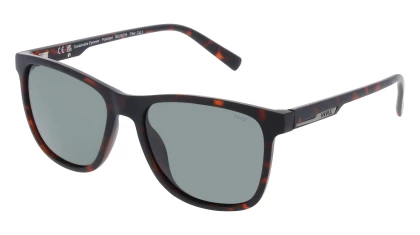 Солнцезащитные очки INVU IB 22537 B