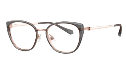 Оправы Bolon BA6023 B13 Titanium