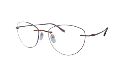 Оправы Neolook N-2162T C717 Titanium