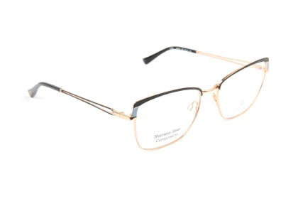 Оправы Bulget BG1873 09B