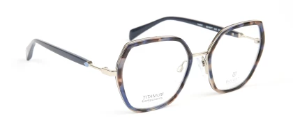 Оправы Bulget BG1907T G23