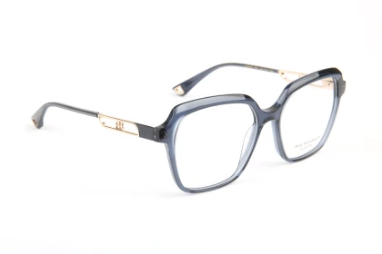 Оправы Оправа Ana Hickmann AH6608 P02