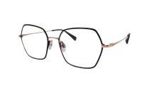 Оправы Ana Hickmann HI1270T 09C Titanium