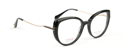 Оправы Ana Hickmann HI6334T A01 Titanium