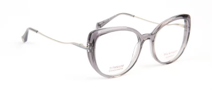 Оправы Ana Hickmann HI6334T T02 Titanium