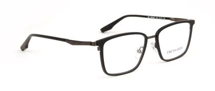 Оправы Trussardi TSM1031T 02A Titanium