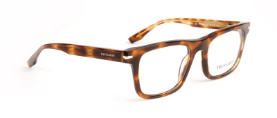 Оправы Оправа Trussardi TSM6003 G22