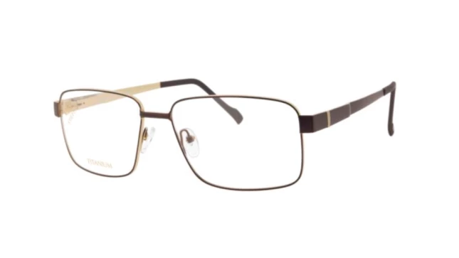 Оправы Stepper SI-60111 F011