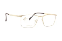 Оправы Stepper SI-60120 F010