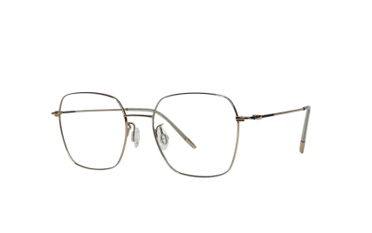 Оправы Bergen 6839 C10 Titanium