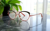 Оправы Lafont ENVIE 3113