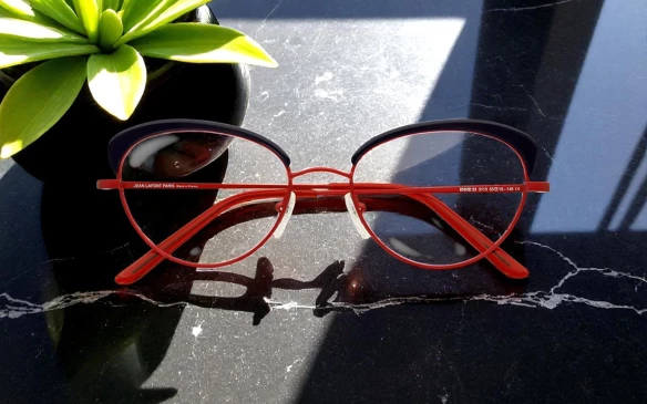 Оправы Lafont ENVIE 3113