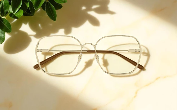 Оправы Chloe CH0208O 001