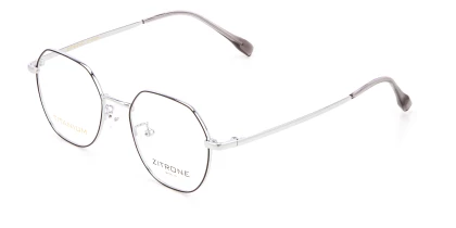 Оправы Zitrone ZN 11-091 17T Titanium
