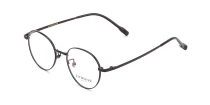 Оправы Zitrone ZN 11-068 17 Titanium