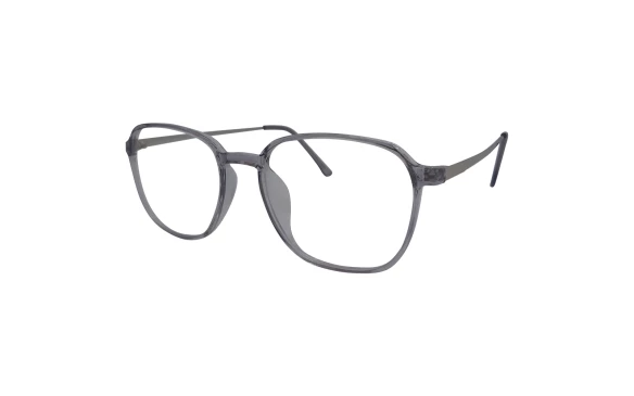 Оправы Ageless 510806 WL03