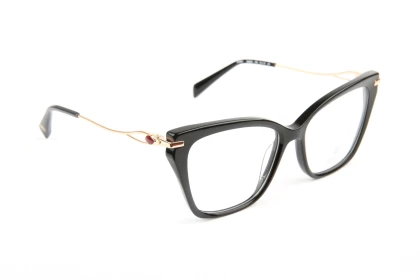 Оправы Bulget BG6554 A02