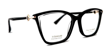 Оправы Ana Hickmann AH6539T P01 Titanium