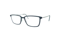 Оправы Lindberg N.O.W. 6630