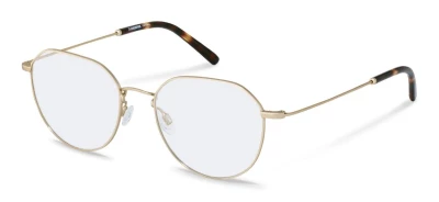 Оправы Rodenstock R2632 G