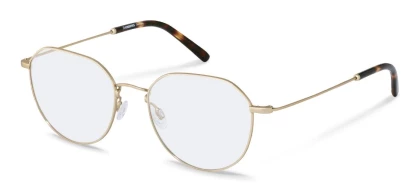 Оправы Rodenstock R2632 G