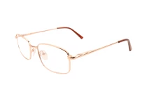 Оправы Ageless 520027 KZ04
