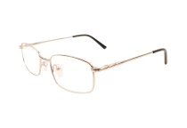 Оправы Ageless 520027 KZ02