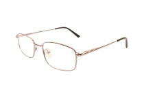 Оправы Ageless 520027 KZ01