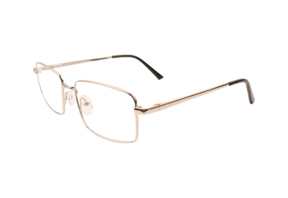Оправы Ageless 520022 KZ04
