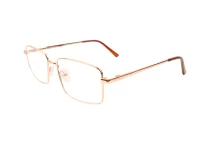 Оправы Ageless 520022 KZ02