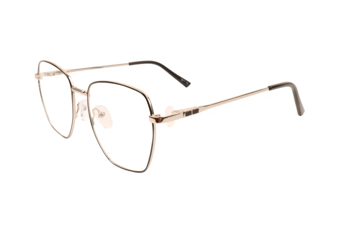 Оправы Ageless 510828 KZ01