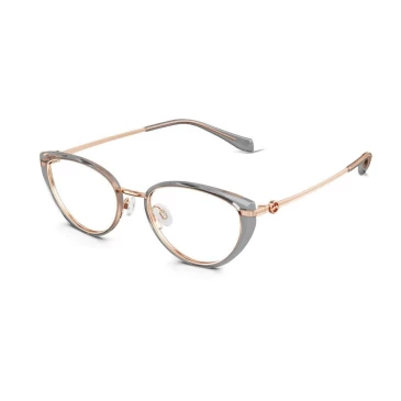 Оправы Molsion MA6029 B13 Titanium