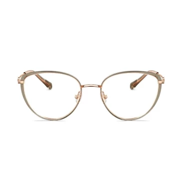 Оправы Molsion MA6003 B21 Titanium