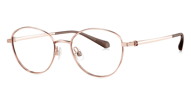 Оправы Bolon BA7029 B30 Titanium