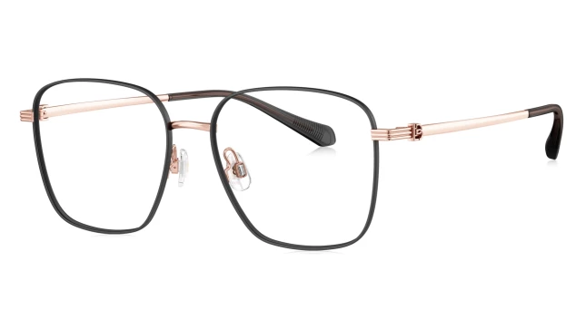 Оправы Bolon BA7023 B13 Titanium