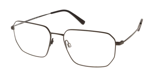 Оправы Einars I2I  G8144C