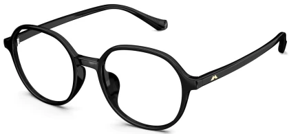 Оправы Molsion MN5001 B10